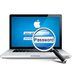 Log Passwords